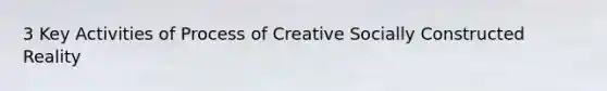 3 Key Activities of Process of Creative Socially Constructed Reality