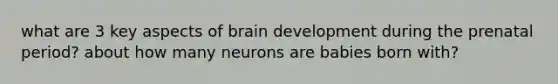 what are 3 key aspects of brain development during the prenatal period? about how many neurons are babies born with?