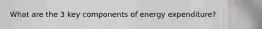 What are the 3 key components of energy expenditure?
