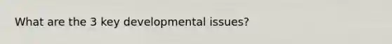 What are the 3 key developmental issues?