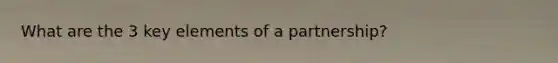 What are the 3 key elements of a partnership?