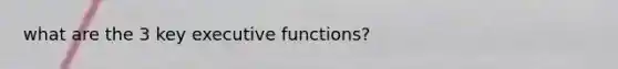 what are the 3 key executive functions?