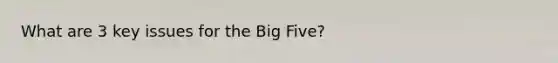 What are 3 key issues for the Big Five?