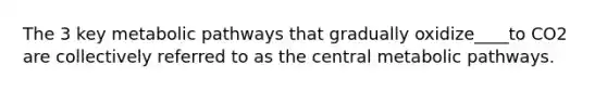 The 3 key metabolic pathways that gradually oxidize____to CO2 are collectively referred to as the central metabolic pathways.