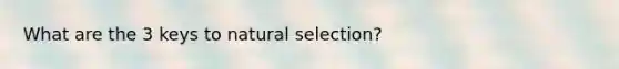 What are the 3 keys to natural selection?