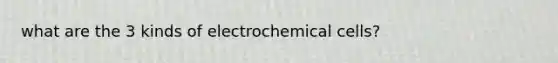 what are the 3 kinds of electrochemical cells?