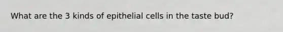 What are the 3 kinds of epithelial cells in the taste bud?