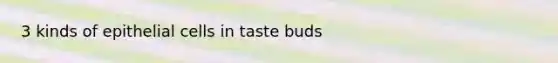 3 kinds of epithelial cells in taste buds