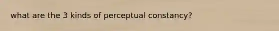 what are the 3 kinds of perceptual constancy?