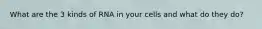 What are the 3 kinds of RNA in your cells and what do they do?