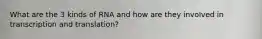 What are the 3 kinds of RNA and how are they involved in transcription and translation?