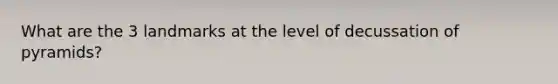 What are the 3 landmarks at the level of decussation of pyramids?