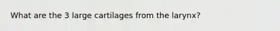 What are the 3 large cartilages from the larynx?
