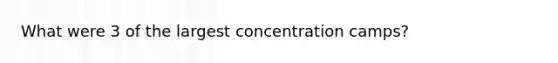 What were 3 of the largest concentration camps?