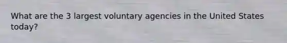 What are the 3 largest voluntary agencies in the United States today?