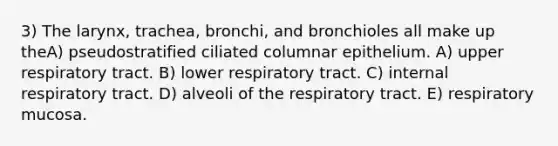 3) The larynx, trachea, bronchi, and bronchioles all make up theA) pseudostratified ciliated columnar epithelium. A) upper respiratory tract. B) lower respiratory tract. C) internal respiratory tract. D) alveoli of the respiratory tract. E) respiratory mucosa.