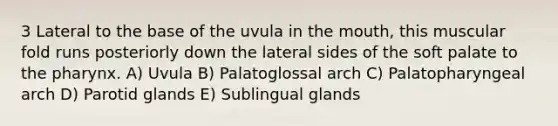 3 Lateral to the base of the uvula in <a href='https://www.questionai.com/knowledge/krBoWYDU6j-the-mouth' class='anchor-knowledge'>the mouth</a>, this muscular fold runs posteriorly down the lateral sides of the soft palate to <a href='https://www.questionai.com/knowledge/ktW97n6hGJ-the-pharynx' class='anchor-knowledge'>the pharynx</a>. A) Uvula B) Palatoglossal arch C) Palatopharyngeal arch D) Parotid glands E) Sublingual glands