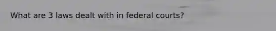 What are 3 laws dealt with in federal courts?