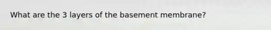 What are the 3 layers of the basement membrane?