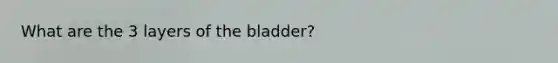 What are the 3 layers of the bladder?