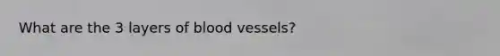 What are the 3 layers of <a href='https://www.questionai.com/knowledge/kZJ3mNKN7P-blood-vessels' class='anchor-knowledge'>blood vessels</a>?