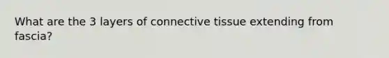 What are the 3 layers of connective tissue extending from fascia?