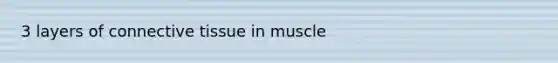 3 layers of connective tissue in muscle