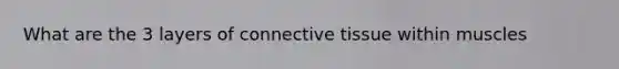 What are the 3 layers of connective tissue within muscles