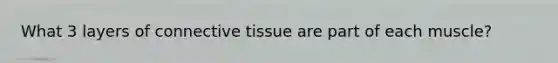 What 3 layers of connective tissue are part of each muscle?