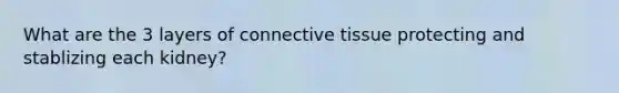 What are the 3 layers of connective tissue protecting and stablizing each kidney?