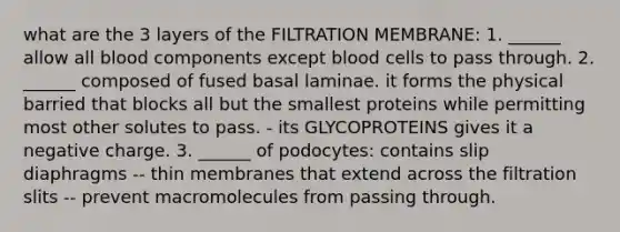 what are the 3 layers of the FILTRATION MEMBRANE: 1. ______ allow all blood components except blood cells to pass through. 2. ______ composed of fused basal laminae. it forms the physical barried that blocks all but the smallest proteins while permitting most other solutes to pass. - its GLYCOPROTEINS gives it a negative charge. 3. ______ of podocytes: contains slip diaphragms -- thin membranes that extend across the filtration slits -- prevent macromolecules from passing through.