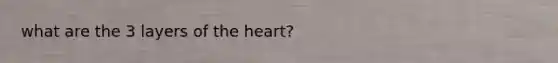 what are the 3 layers of the heart?