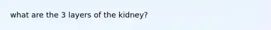 what are the 3 layers of the kidney?