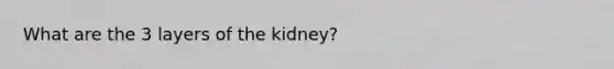 What are the 3 layers of the kidney?