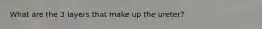 What are the 3 layers that make up the ureter?