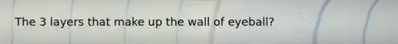 The 3 layers that make up the wall of eyeball?