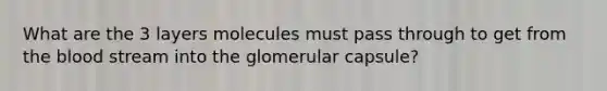 What are the 3 layers molecules must pass through to get from the blood stream into the glomerular capsule?