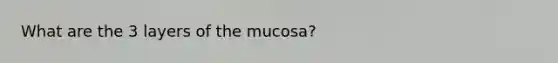 What are the 3 layers of the mucosa?