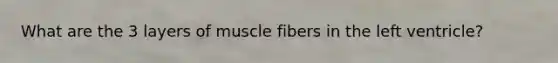 What are the 3 layers of muscle fibers in the left ventricle?