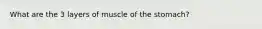 What are the 3 layers of muscle of the stomach?
