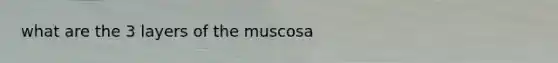 what are the 3 layers of the muscosa