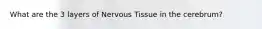 What are the 3 layers of Nervous Tissue in the cerebrum?