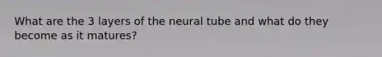 What are the 3 layers of the neural tube and what do they become as it matures?