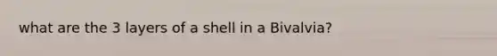 what are the 3 layers of a shell in a Bivalvia?