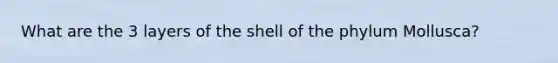 What are the 3 layers of the shell of the phylum Mollusca?