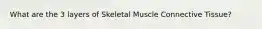 What are the 3 layers of Skeletal Muscle Connective Tissue?