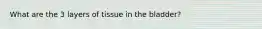 What are the 3 layers of tissue in the bladder?