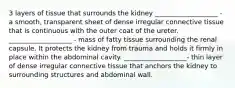 3 layers of tissue that surrounds the kidney ___________________ - a smooth, transparent sheet of dense irregular connective tissue that is continuous with the outer coat of the ureter. ___________________ - mass of fatty tissue surrounding the renal capsule. It protects the kidney from trauma and holds it firmly in place within the abdominal cavity. ___________________- thin layer of dense irregular connective tissue that anchors the kidney to surrounding structures and abdominal wall.