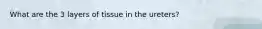 What are the 3 layers of tissue in the ureters?