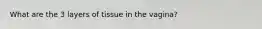 What are the 3 layers of tissue in the vagina?